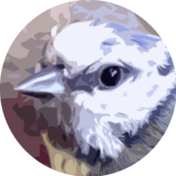 Logo of my Birdcam project